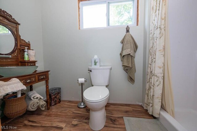 24416 Mountz Rd, Homeworth, OH 44634 - full bathroom featuring plenty of natural light, wood finished floors, and toilet