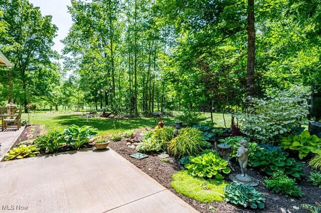 24416 Mountz Rd, Homeworth, OH 44634 - view of grassy yard with a patio