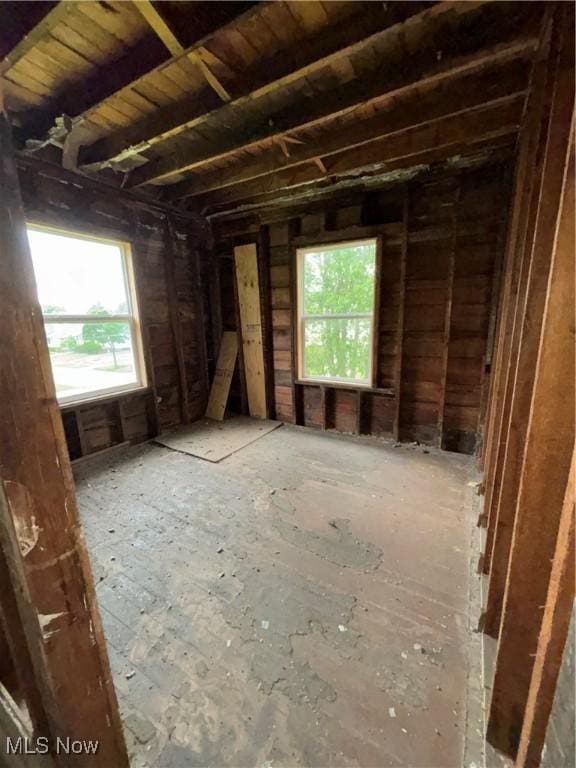 11226 Greenwich Ave, Cleveland, OH 44105 - misc room with plenty of natural light