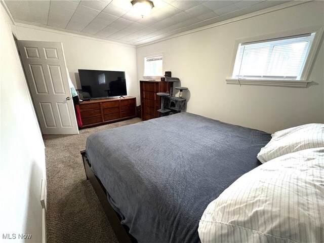 1720 Blosser Ln, Follansbee, WV 26037 - bedroom with carpet floors and ornamental molding