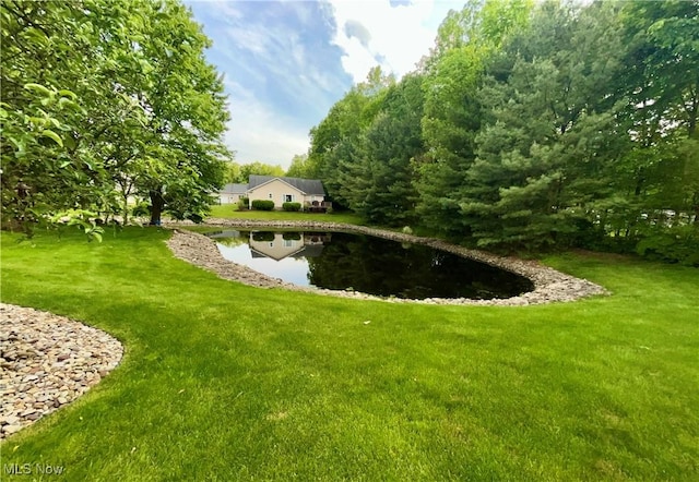286 NE Palmer Cir NE, Howland, OH 44484 - photo 5