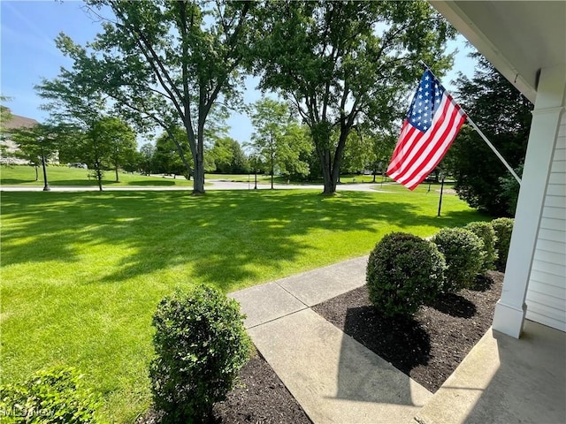 180 Atterbury Blvd, Hudson, OH 44236 - view of green lawn