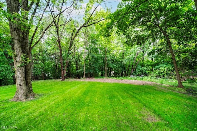 90 Frank St, Struthers, OH 44471 - view of grassy yard with a view of trees
