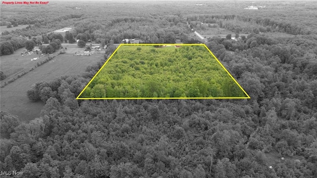 3371 Padanarum Rd, Geneva, OH 44041 - aerial view of property and surrounding area featuring a forest and property parcel outlined