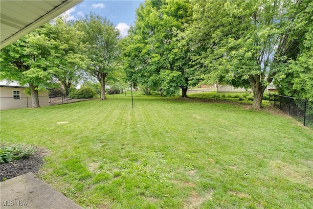 525 Hill Blvd, East Liverpool, OH 43920 - view of yard