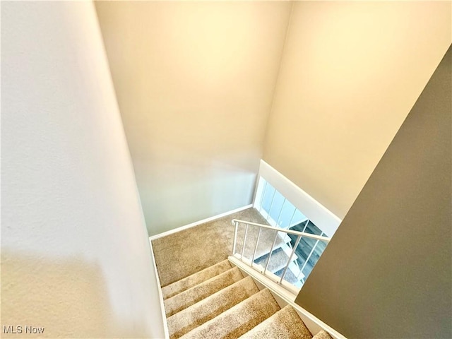 6400 Center St Unit 14, Mentor, OH 44060 - stairway featuring carpet floors and baseboards