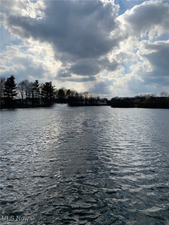 3079 Landing Ln, Reminderville, OH 44202 - water view