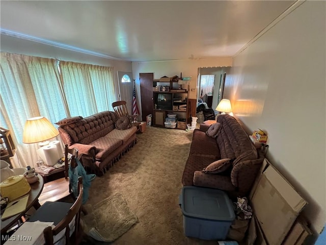 156 Andover Rd, Woodsfield, OH 43793 - living area with carpet flooring and plenty of natural light