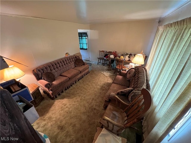 156 Andover Rd, Woodsfield, OH 43793 - living room with carpet flooring