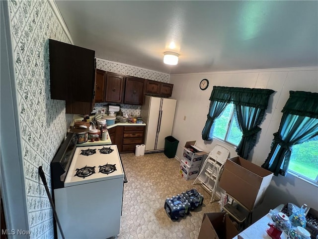 156 Andover Rd, Woodsfield, OH 43793 - kitchen featuring white appliances, dark brown cabinetry, and light countertops