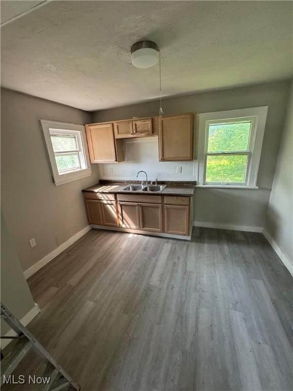 10301 Nelson Ave, Cleveland, OH 44105 - photo 4