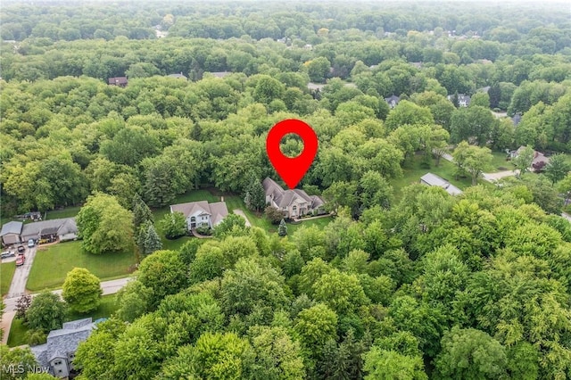 5075 Delray Ave, Solon, OH 44139 - photo 49