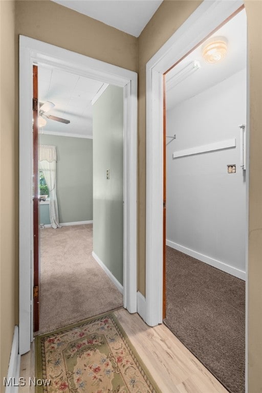 674 Columbus Ave, Akron, OH 44306 - hall with carpet floors and baseboards