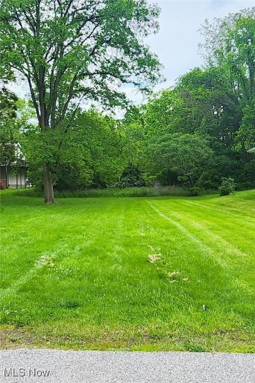 Walnut St, Wintersville, OH 43953 - photo 1