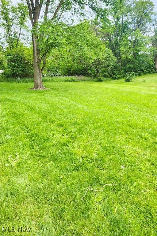 Walnut St, Wintersville, OH 43953 - photo 2