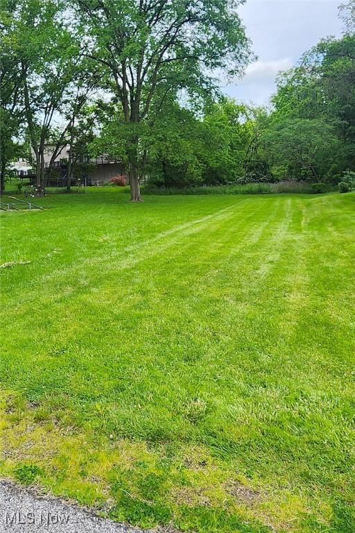 Walnut St, Wintersville, OH 43953 - photo 3