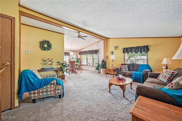 1270 S Lincoln Ave Unit A, Salem, OH 44460 - carpeted living room with a ceiling fan, healthy amount of natural light, vaulted ceiling, and a textured ceiling