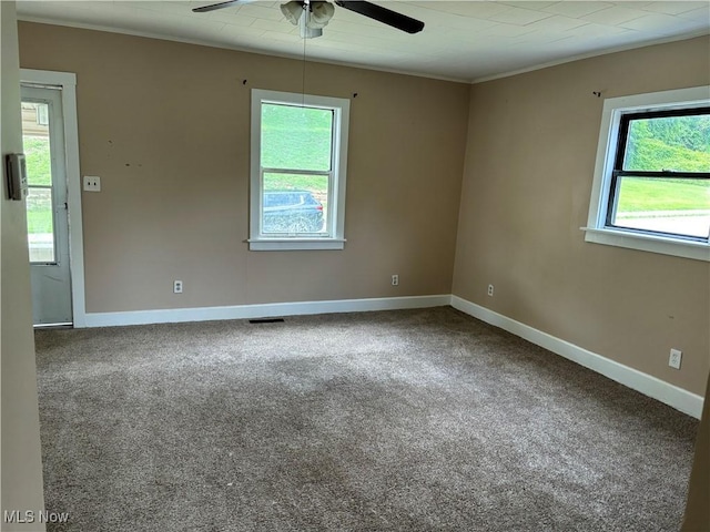 1206 Swann St, Parkersburg, WV 26101 - photo 4
