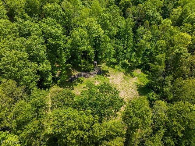 Johnson Hill Rd, Newcomerstown, OH 43832 - photo 37
