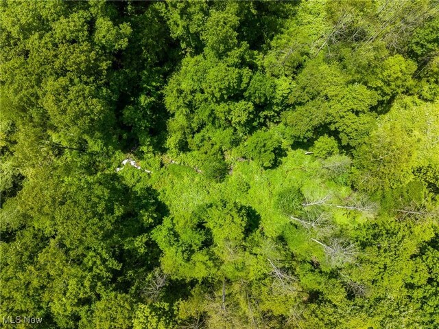Johnson Hill Rd, Newcomerstown, OH 43832 - photo 40