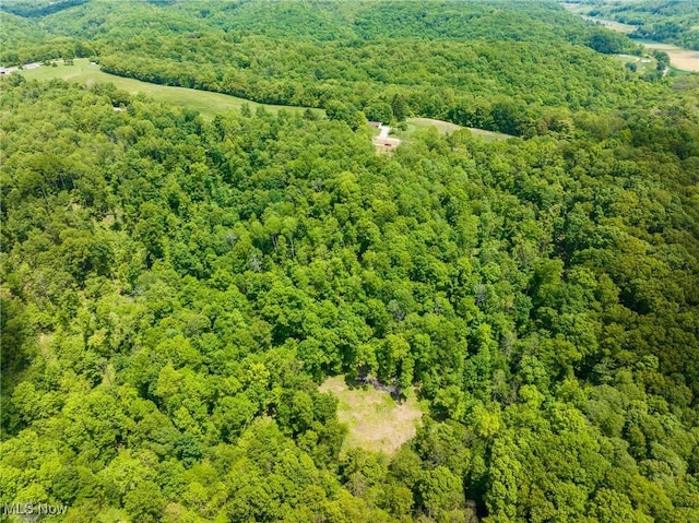 Johnson Hill Rd, Newcomerstown, OH 43832 - photo 42