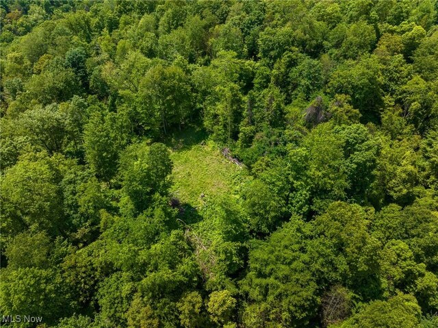 Johnson Hill Rd, Newcomerstown, OH 43832 - photo 33