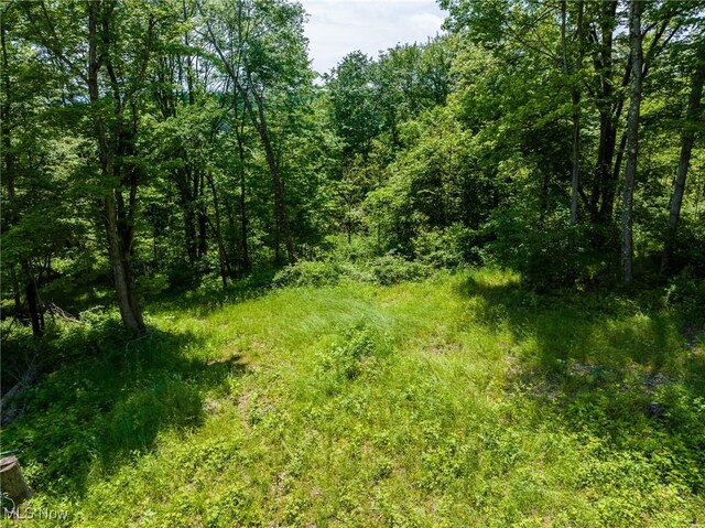 Johnson Hill Rd, Newcomerstown, OH 43832 - photo 34
