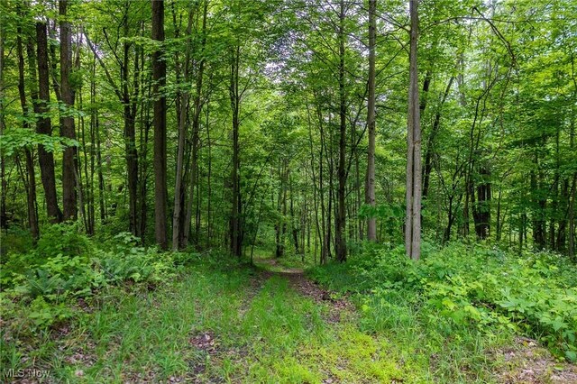 Johnson Hill Rd, Newcomerstown, OH 43832 - photo 3