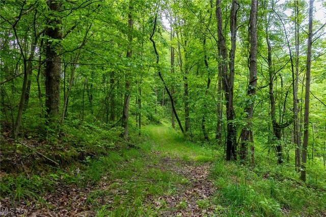 Johnson Hill Rd, Newcomerstown, OH 43832 - photo 4
