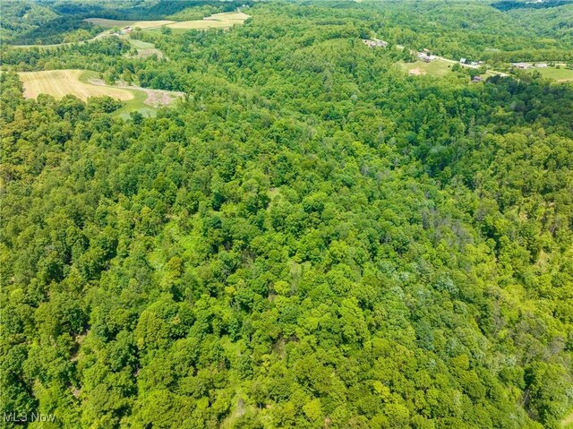 Johnson Hill Rd, Newcomerstown, OH 43832 - photo 44