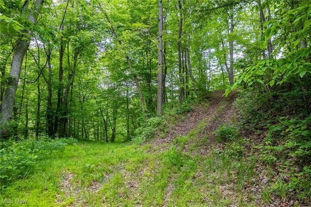 Johnson Hill Rd, Newcomerstown, OH 43832 - photo 8