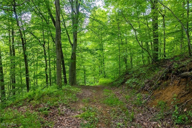 Johnson Hill Rd, Newcomerstown, OH 43832 - photo 9
