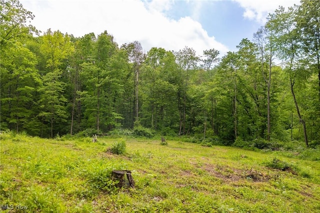 Johnson Hill Rd, Newcomerstown, OH 43832 - photo 12