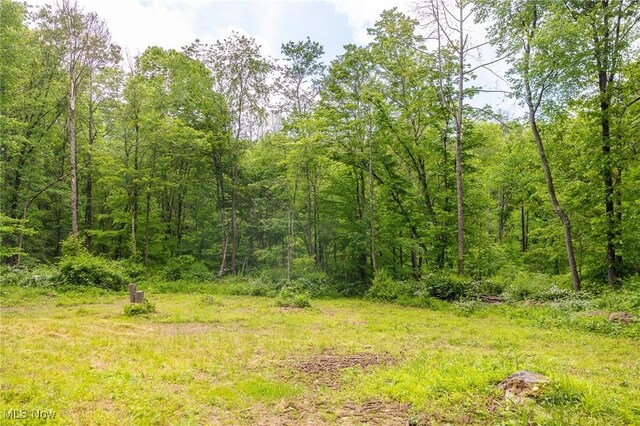 Johnson Hill Rd, Newcomerstown, OH 43832 - photo 15