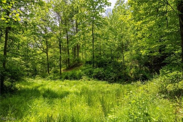 Johnson Hill Rd, Newcomerstown, OH 43832 - photo 17