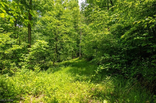 Johnson Hill Rd, Newcomerstown, OH 43832 - photo 18