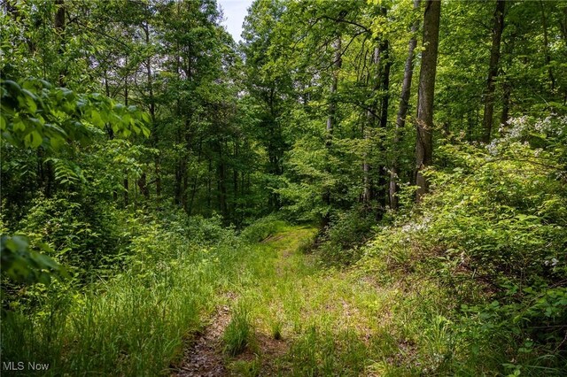 Johnson Hill Rd, Newcomerstown, OH 43832 - photo 23