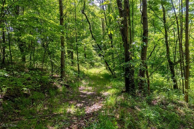 Johnson Hill Rd, Newcomerstown, OH 43832 - photo 24