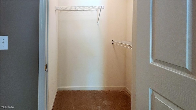 28360 Center Ridge Rd Unit 218, Westlake, OH 44145 - spacious closet with carpet
