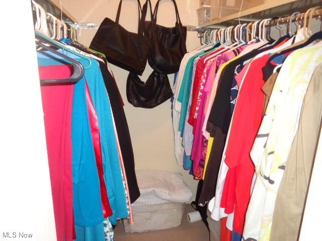 16395 Heather Ln Unit 201, Middleburg Heights, OH 44130 - view of walk in closet