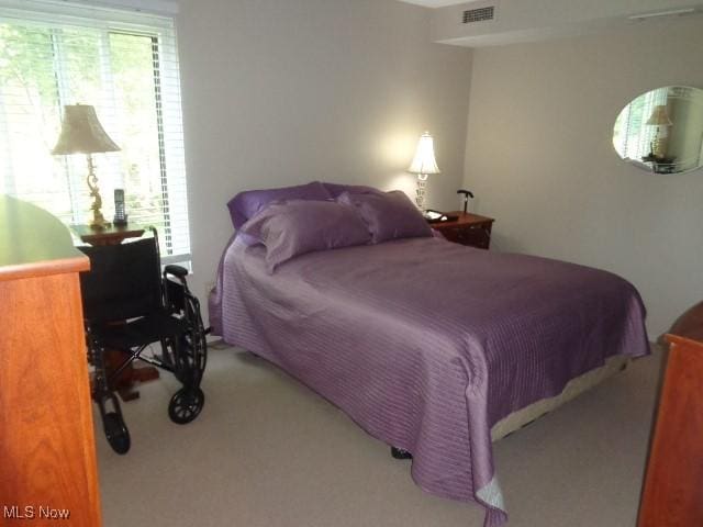 16395 Heather Ln Unit 201, Middleburg Heights, OH 44130 - carpeted bedroom featuring multiple windows