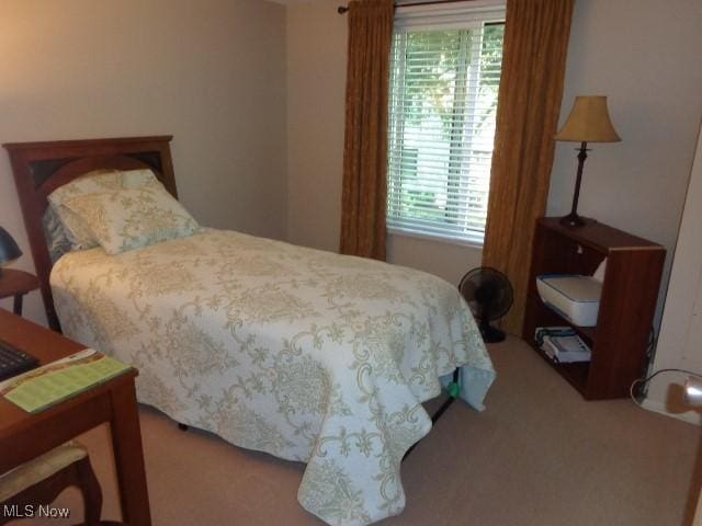 16395 Heather Ln Unit 201, Middleburg Heights, OH 44130 - bedroom featuring carpet floors