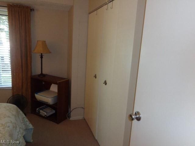 16395 Heather Ln Unit 201, Middleburg Heights, OH 44130 - bedroom with multiple windows and a closet