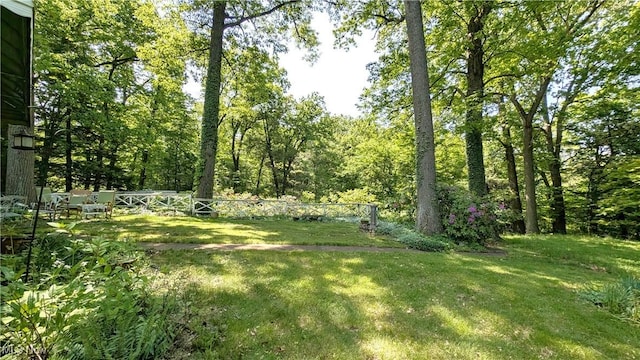 1628 Squaw Ct, Girard, OH 44420 - photo 40