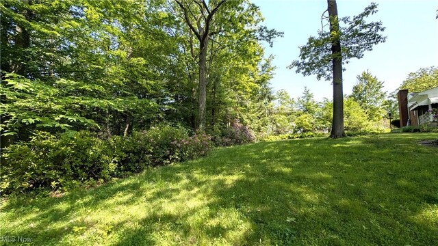 1628 Squaw Ct, Girard, OH 44420 - photo 42