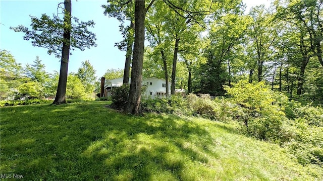 1628 Squaw Ct, Girard, OH 44420 - photo 43