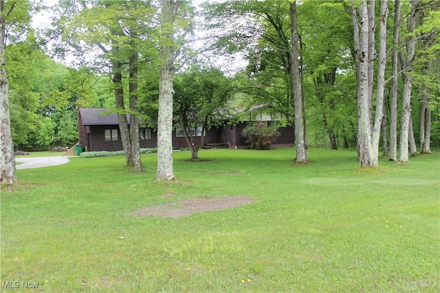 666 E Windsor Rd, Orwell, OH 44076 - view of grassy yard