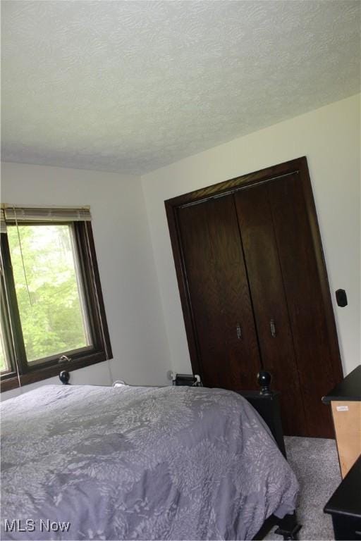 666 E Windsor Rd, Orwell, OH 44076 - bedroom with a textured ceiling, a closet, and carpet floors