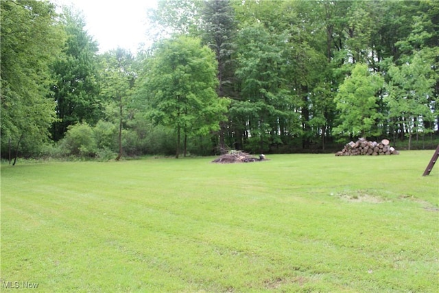 666 E Windsor Rd, Orwell, OH 44076 - view of green lawn