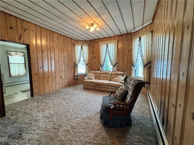 99 W Martin St, East Palestine, OH 44413 - carpeted living room with wood walls and baseboard heating
